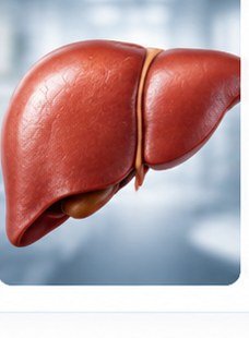Fatty Liver Disease